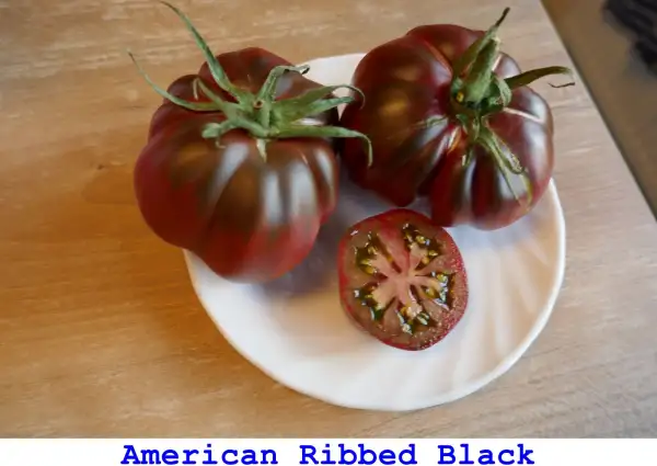 Tomaten: American Ribbed Black