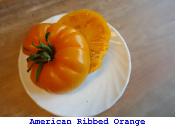 Tomaten: American Ribbed Orange