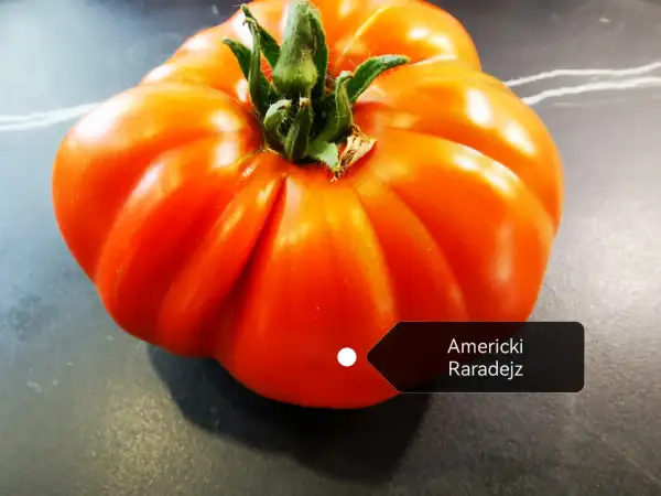 Tomaten: Americki Paradejz Tomate