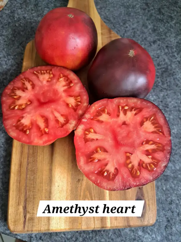 Tomaten: Amethyst Heart