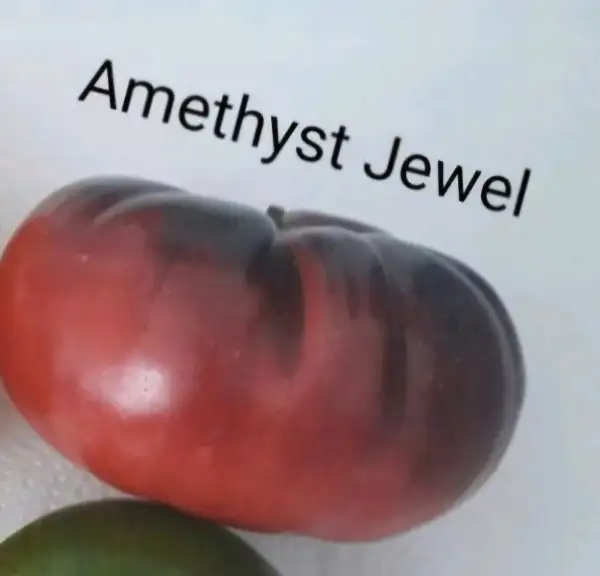 Tomaten: Amethyst Jewel