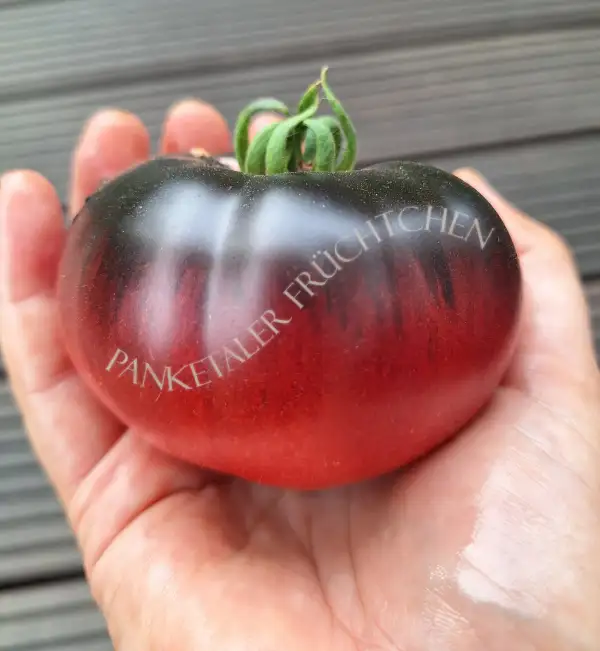 Tomaten: Amethyst Jewel