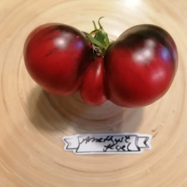 Tomaten: Amethyst Jewel