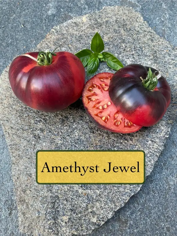 Tomaten: Amethyst Jewel