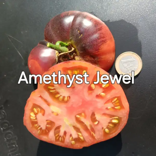 Tomaten: Amethyst Jewel