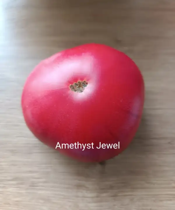 Tomaten: Amethyst Jewel