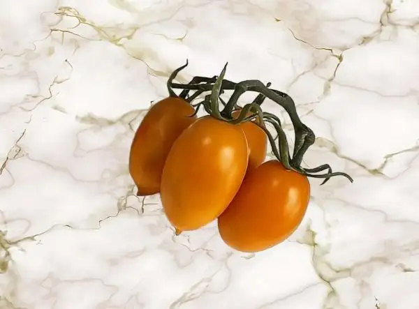 Tomaten: Amish Gold