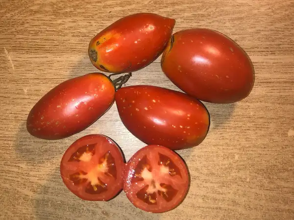 Tomaten: Amish Paste