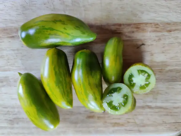 Tomaten: Ampeltomate Green Sausage