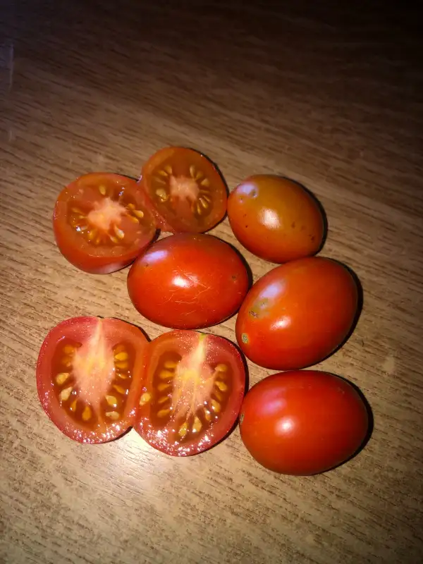 Tomaten: Ampolla