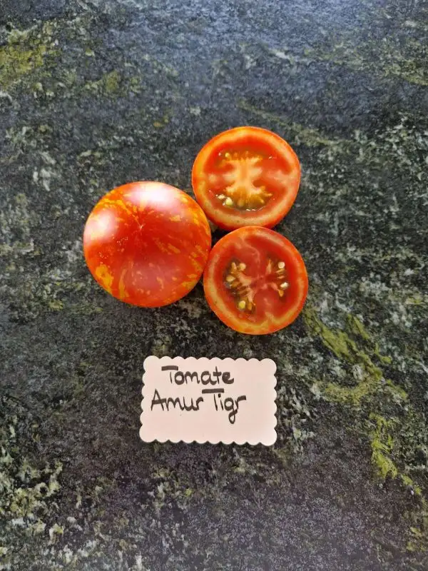 Tomaten: Amur Tigr