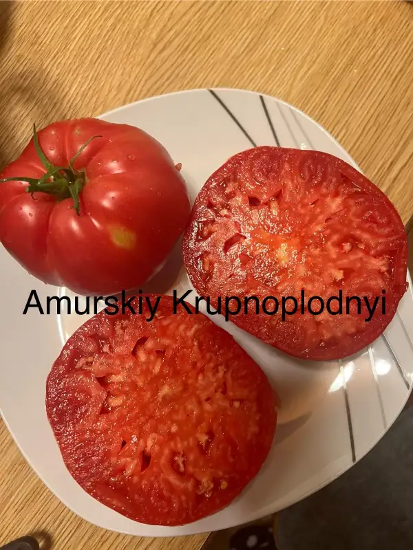 Tomaten: Amurskiy Krupnoplodnyi