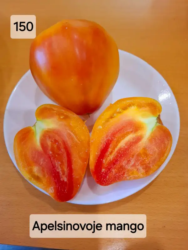 Tomaten: An orange mango