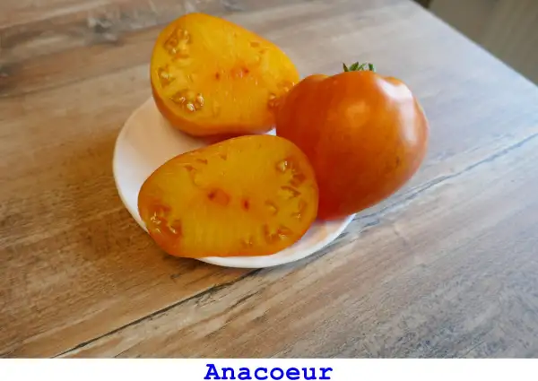 Tomaten: Anacoeur