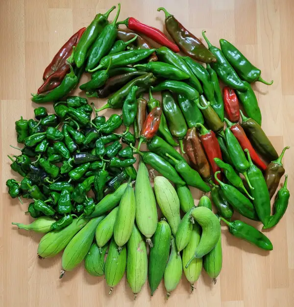 Chili / Paprika: Anaheim
