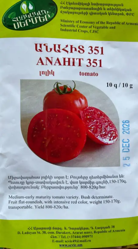 Tomaten: Anahit 351