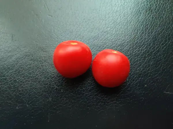 Tomaten: Anahu