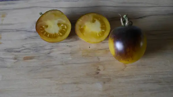 Tomaten: Ananans Blue Cherry