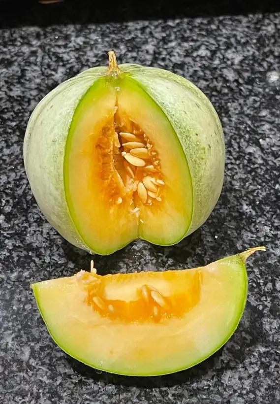 Melonen: Ananas - Melone