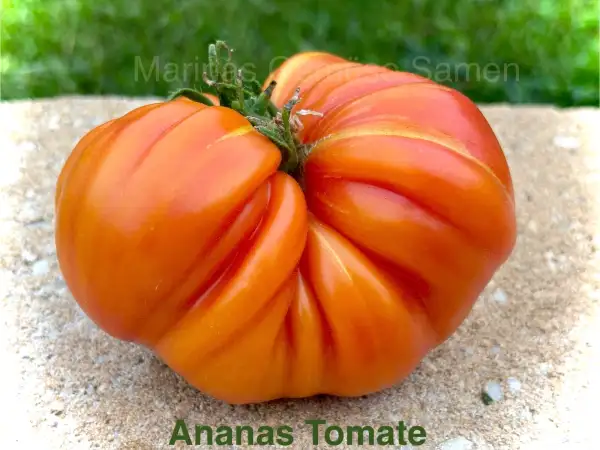 Tomaten: Ananas
