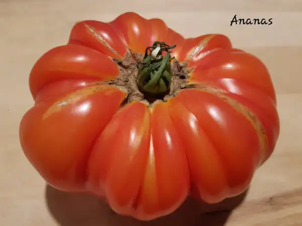 Tomaten: Ananas