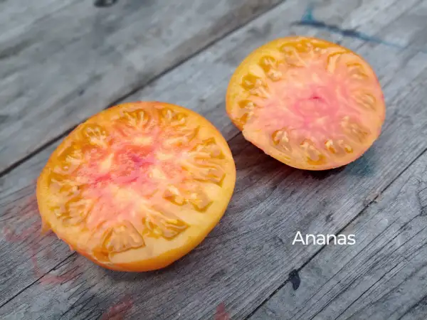 Tomaten: Ananas