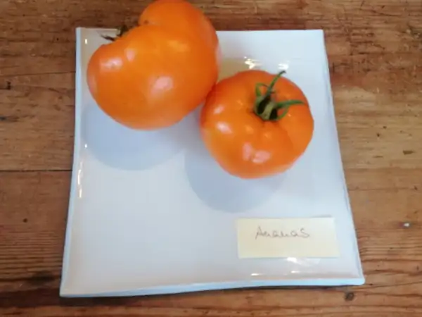 Tomaten: Ananas