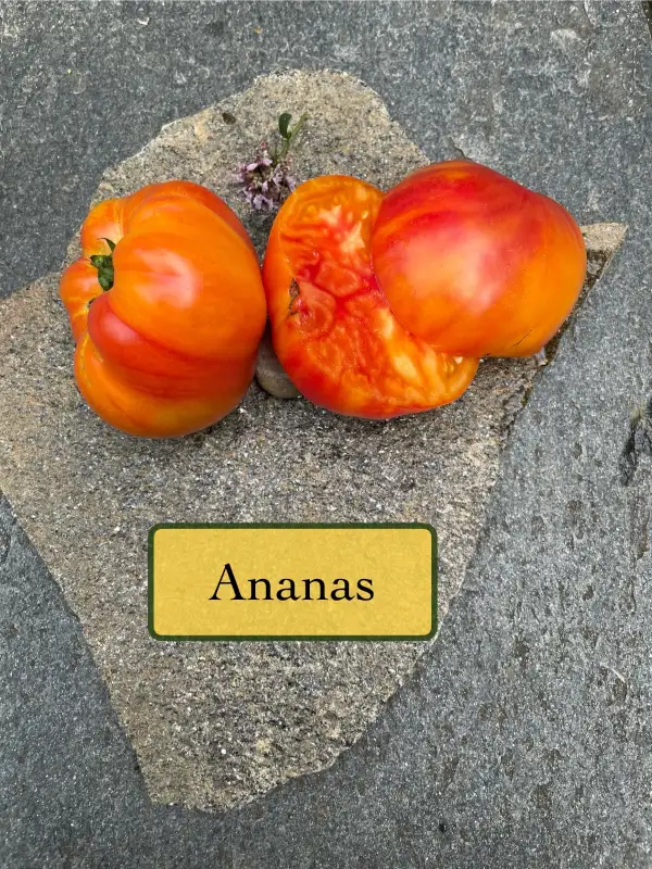 Tomaten: Ananas