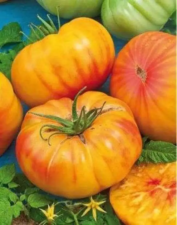 Tomaten: Ananas