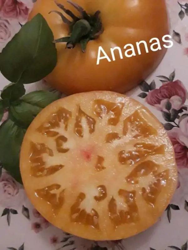 Tomaten: Ananas