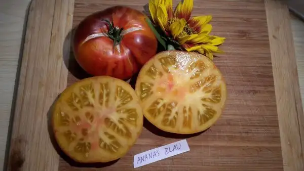 Tomaten: Ananas blau