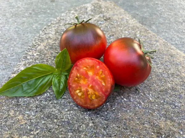 Tomaten: Ananas blau