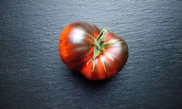 Tomaten: Ananas Bleu