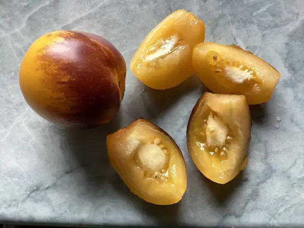Tomaten: Ananas Blue Cherry