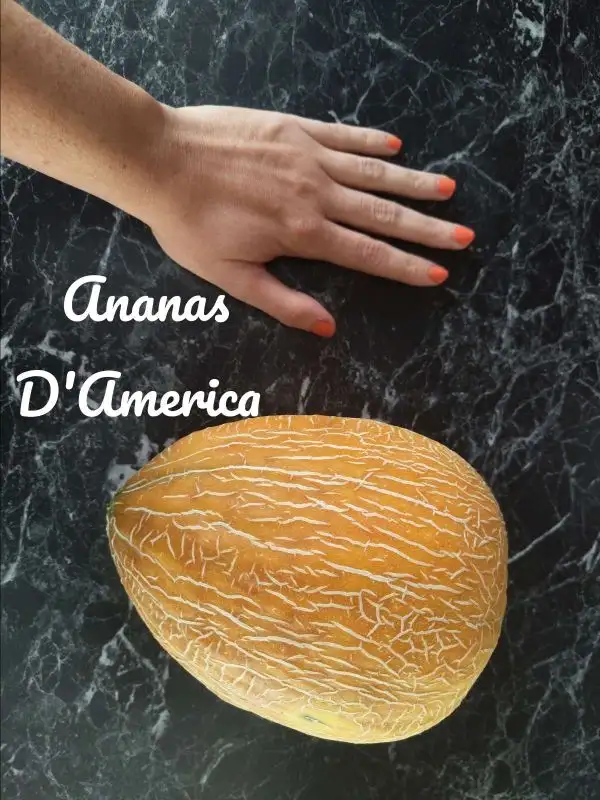 Obst: Ananas D