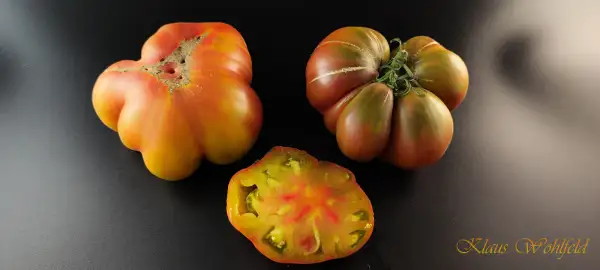 Tomaten: Ananas Noir