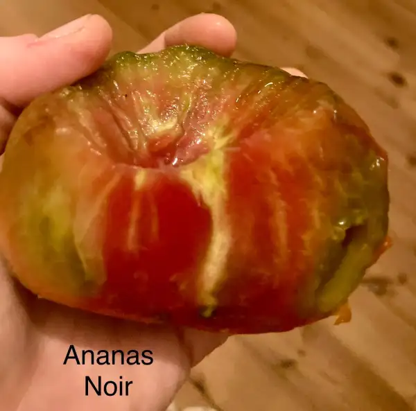 Tomaten: Ananas Noir