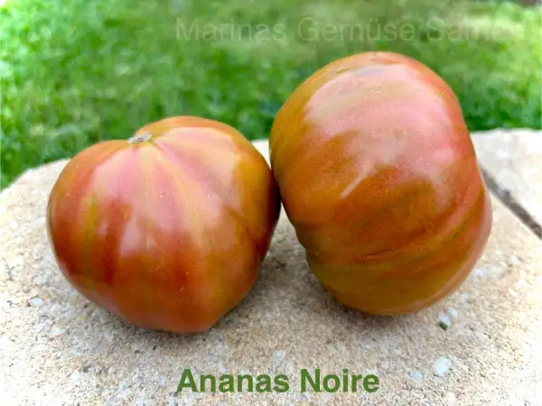 Tomaten: Ananas Noire