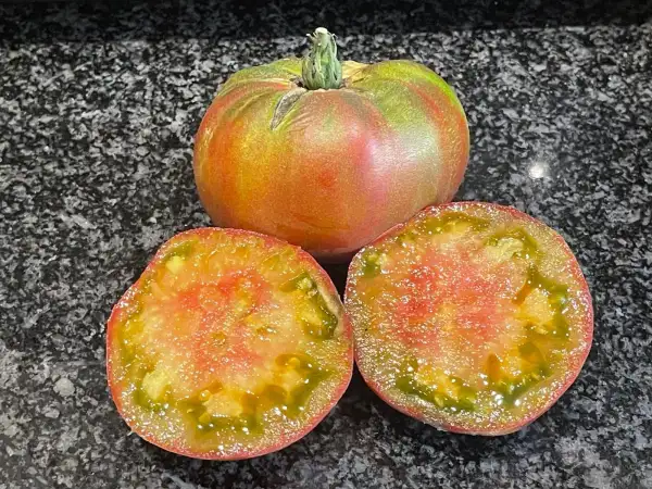 Tomaten: Ananas Noire