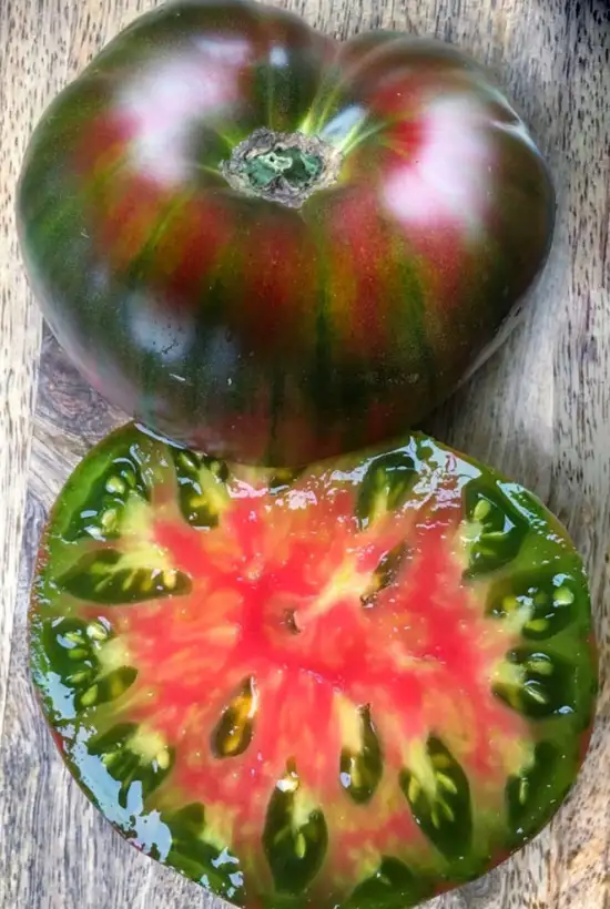 Tomaten: Ananas Noire
