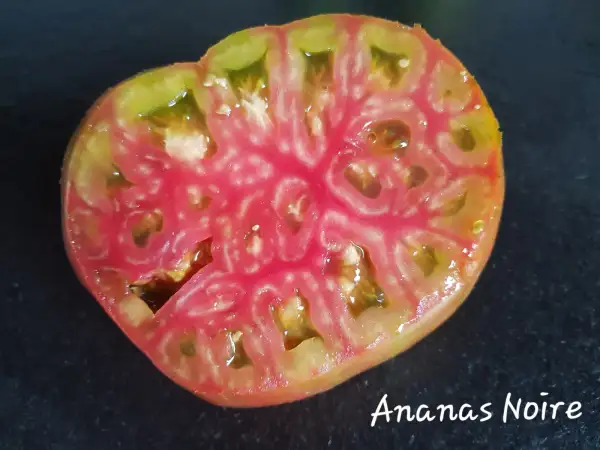 Tomaten: Ananas Noire / Ananori