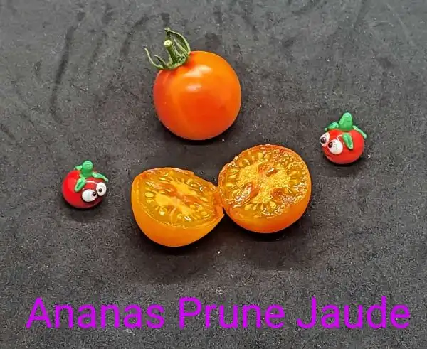 Tomaten: Ananas Prune Jaune