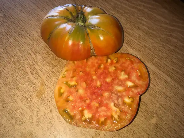 Tomaten: Ananas rl