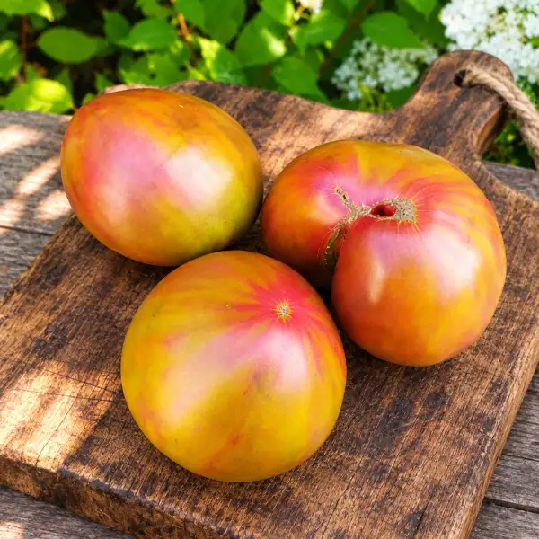 Tomaten: Ananas Serdce