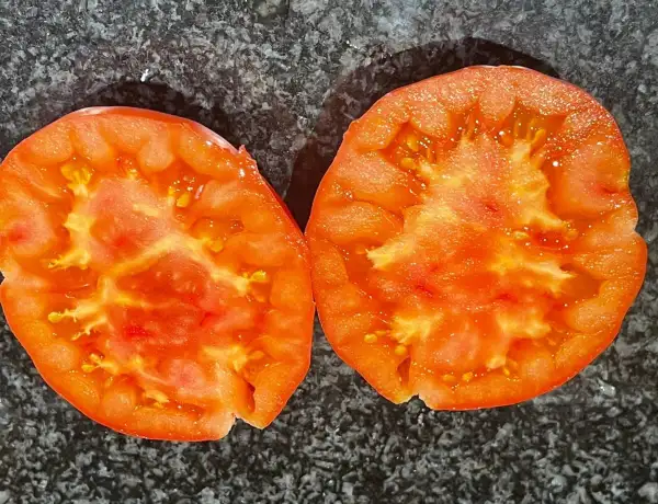 Tomaten: Ananas Tomate