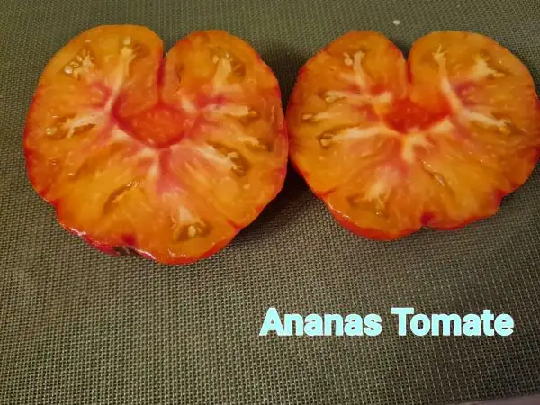 Tomaten: Ananas Tomate