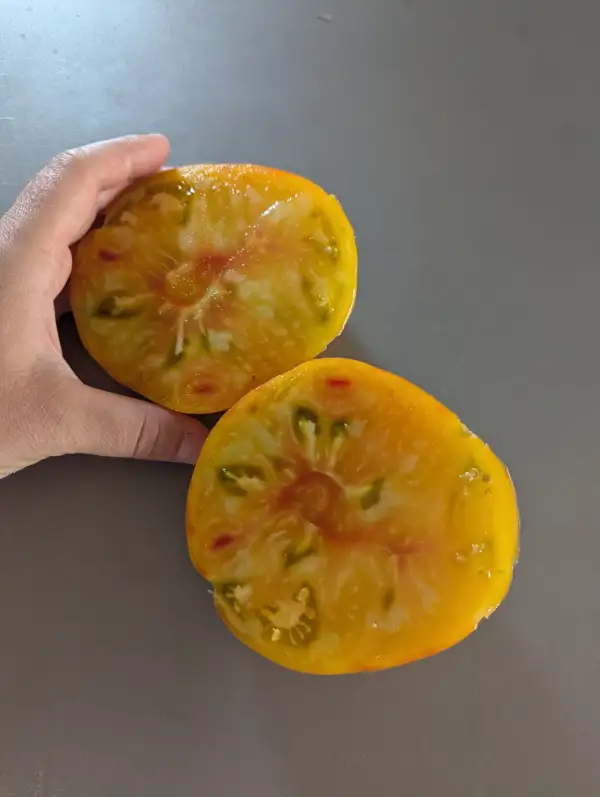 Tomaten: Ananas Tomate