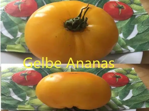 Tomaten: Ananas Tomate