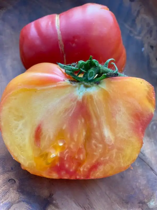 Tomaten: Ananas Tomate