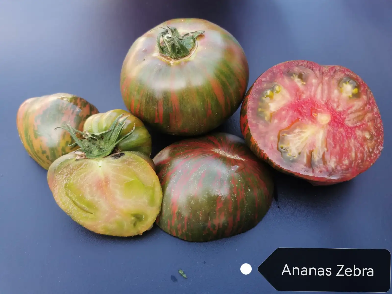 Tomaten: Ananas Zebra